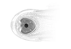 Sidi Genius 10 -Foxe Style Shop 54723 sidi alba 2